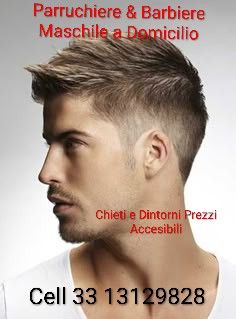 Parruchiere Masculino a Domicilio Tel:3313129828