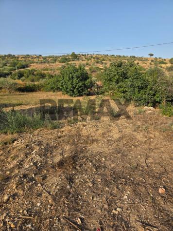 Terreno in vendita a Caltagirone - Foto 8