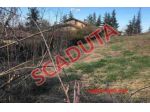 Immobile in asta di 2 m² in vendita a Gazzola
