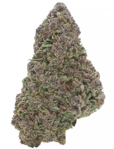 OG Kush