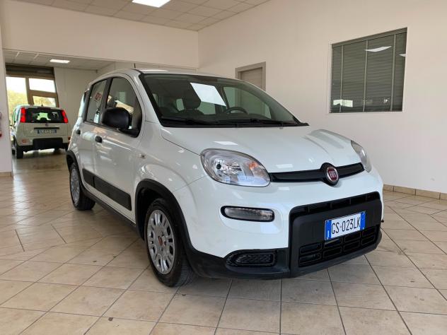Fiat Panda 1.0 FireFly S Hybrid *IVA DEDUCIBILE* - Foto 3