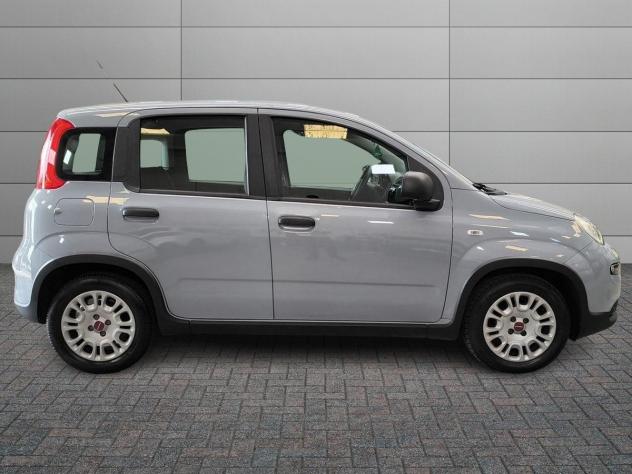 FIAT Panda III 2021 1.0 firefly hybrid s&s 70cv - Foto 3