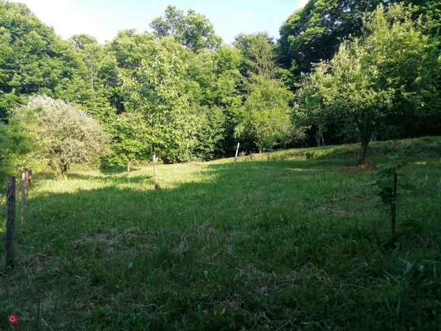 Paolisi (BN) - Indipendente con Terreno - Foto 2