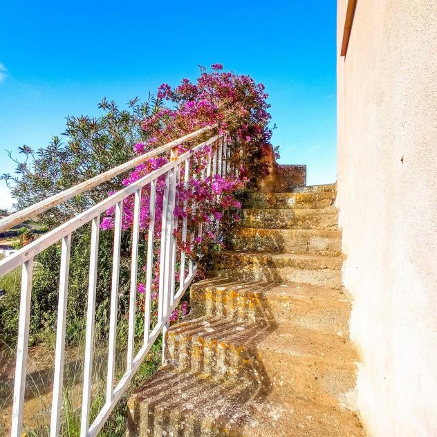 Altro in vendita a Pantelleria - Foto 15