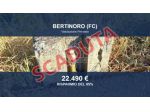 Immobile in asta di 707 m² in vendita a Bertinoro