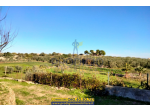 Terreno agricolo in vendita a Bisceglie