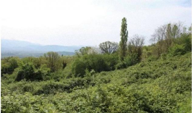 Immobile in asta di 6330 m² in vendita a Greccio - Foto 2
