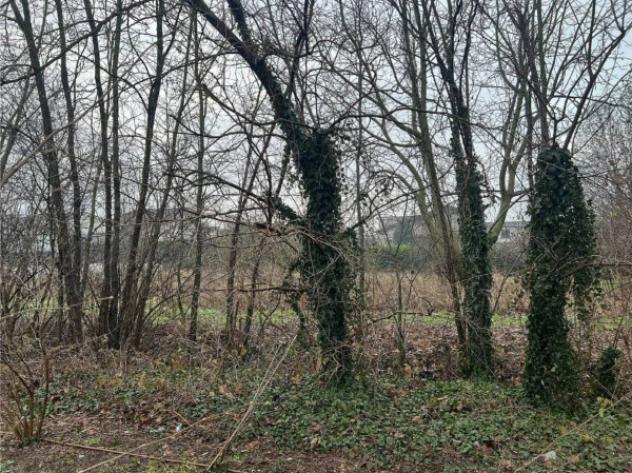 Immobile in asta di 3033 m² in vendita a Sanza - Foto 5