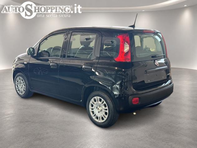 FIAT Pandina Panda III 1.0 firefly hybrid Icon s&s 65cv 5p.ti - Foto 4