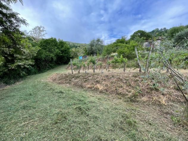 Agricolo in Via Madonna delle Vigne - Foto 12