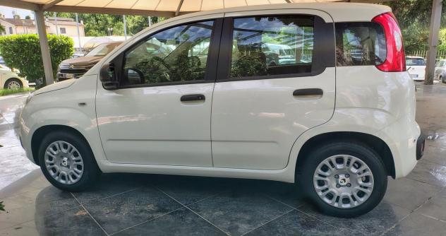 FIAT Panda 1.0 FireFly 70cv S&S Hybrid - Foto 3