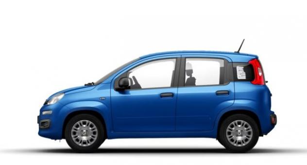 FIAT Panda 1.0 FireFly S&S Hybrid rif. 23784312 - Foto 3