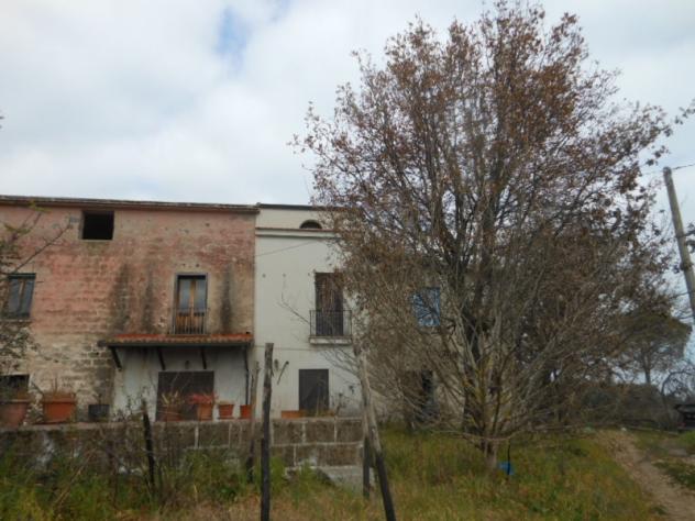 Casa indipendente affiancata per un lato su due livelli per un totale di mq 80 con terreno circostante di mq 3.000 - Foto 2