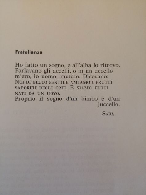 Libro "Antologia di Prose e Poesie italiane e straniere" del 1964 - Foto 2
