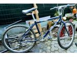 Bici GIANT