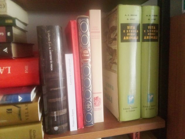 100 libri come nuovi in blocco a 50 euro