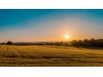 Azienda agricola in vendita a Bomarzo 2090000 mq  Rif: 1419657