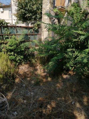 Immobile in asta di 68 m² con più di 5 locali in vendita a Ponzano di Fermo - Foto 14
