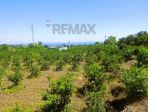 Terreno in vendita a Santa Venerina