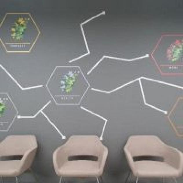 Eco Coop Multiservice