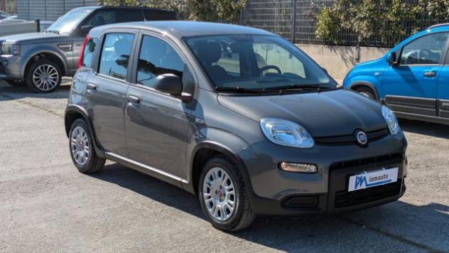 FIAT Panda FireFly Hybrid 1.0cc 69cv rif. 23515867 - Foto 3