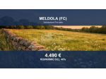 Immobile in asta di 6403 m² in vendita a Meldola