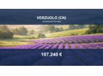 Immobile in asta di 20486 m² in vendita a Verzuolo