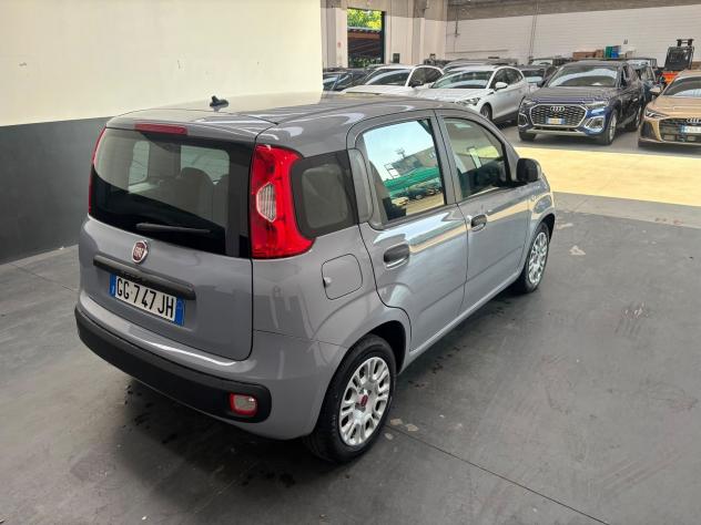 FIAT Panda Panda 1.0 firefly hybrid s&s 70cv 5p.ti - Foto 7