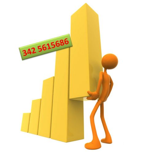 RIPETIZIONI STATISTICA CHIMICA 342 5615686 BOLOGNA