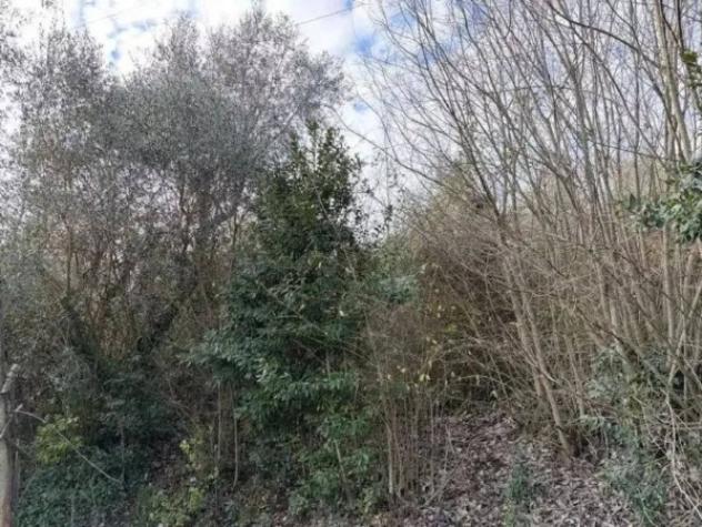 Immobile in asta di 85900 m² in vendita a Bomarzo - Foto 2
