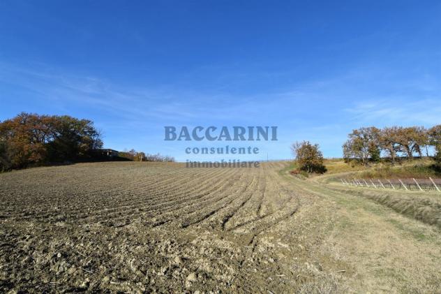 FONDO AGRICOLO CA' DEI FRATI - BRISIGHELLA - Foto 19