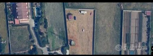 LOTTO DI TERRENO RECINTATO AGRICOLO di 3100 Mq TRA POMIGLIANO E CASALNUOVO - Foto 5