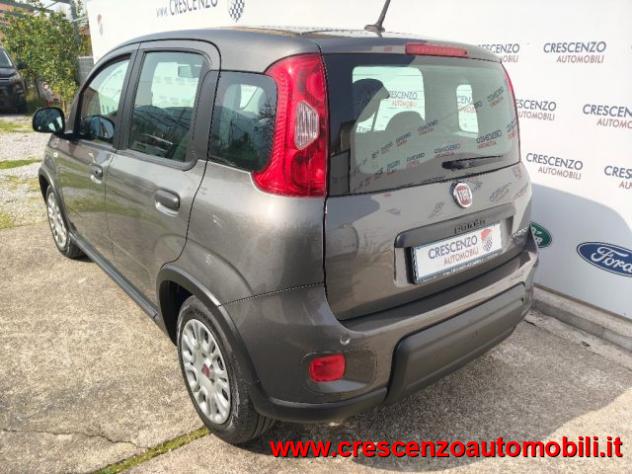 FIAT Panda 1.0 FireFly S&S Hybrid City Life - AZIENDALE rif. 23795806 - Foto 7