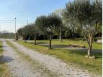 Villa di 572 m² con 5 locali in vendita a Cadoneghe