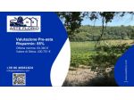 Immobile in asta di 22880 m² in vendita a Ripatransone