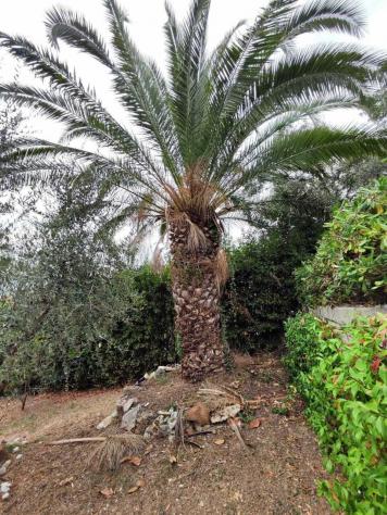Bifamiliare in vendita a Monterotondo - Foto 17