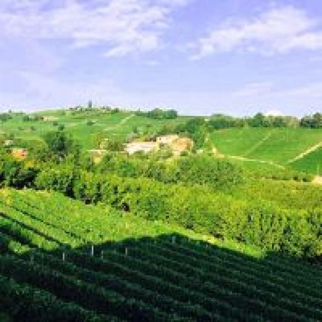 Paitin di Pasquero Elia Societa' Agricola Semplice
