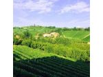 Paitin di Pasquero Elia Societa' Agricola Semplice