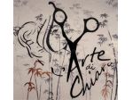 Cercasi  Parrucchiere/a – Salone L'Arte di Chiara a San Biagio di Callalta (TV)