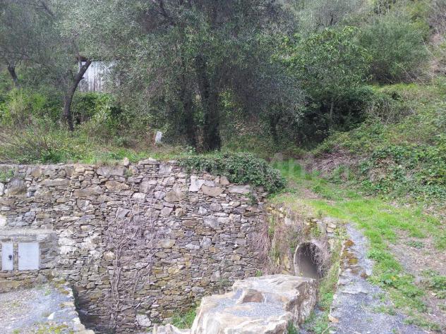 Alassio, terreno collinare vista mare, con piccolissimo rustico. - Foto 8