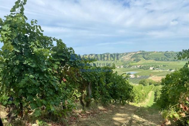 PODERE AGRICOLO CON CAPANNONE - BRISIGHELLA - FAENZA - VIA AGELLO E SANDRONA - Foto 14