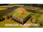 Terreno ed. ind.le/artig.le in vendita a Pisa 32000 mq  Rif: 1407953