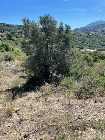 Agricolo in Via Nazionale - Foto 9