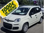 FIAT Panda 1.0 FireFly 70cv S&S Hybrid Pandina