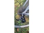 Bici da corsa DEDACCIAI ASSOLUTO