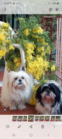 Varazze appartamento con giardino centrale Vista mare - Foto 10