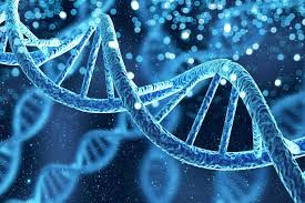 LA LOGICA DELLA VITA: LEGGI BIOLOGICHE