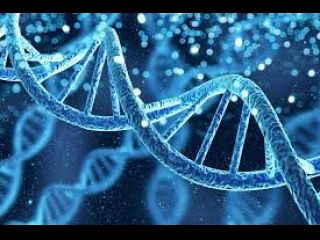 LA LOGICA DELLA VITA: LEGGI BIOLOGICHE