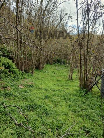 Terreno in vendita a Ficarra - Foto 8