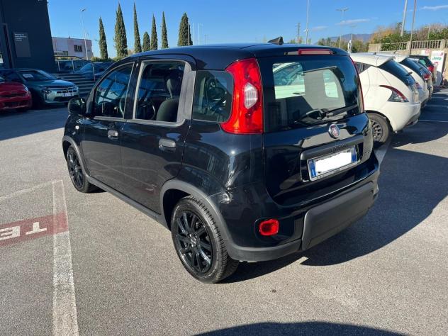 FIAT Panda Panda 1.0 FireFly S&S Hybrid - Foto 7
